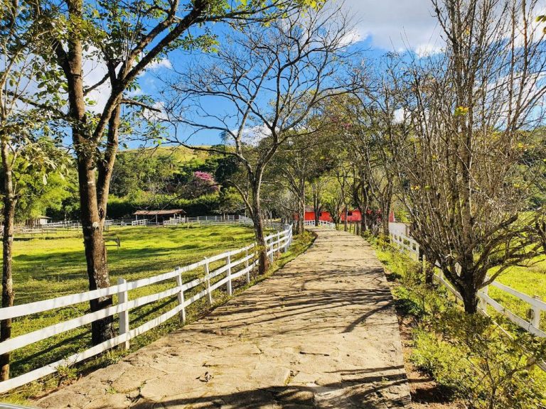 UNADJUSTEDNONRAW thumb 31c4 768x576