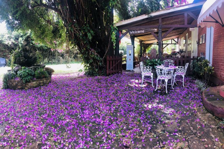 ih ZQlEAQcqnzKwUorIZjw thumb 3cbc 768x512