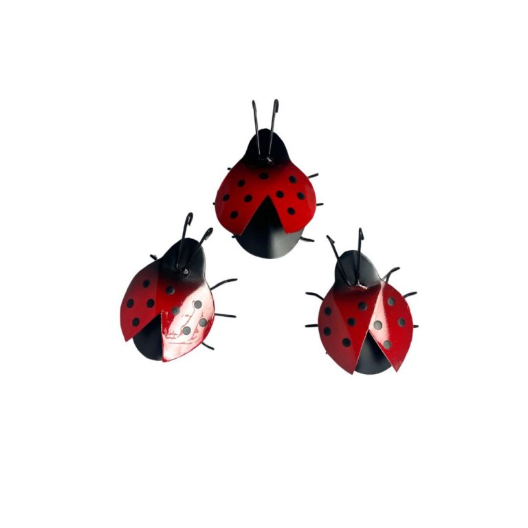 trio joaninhas 768x768