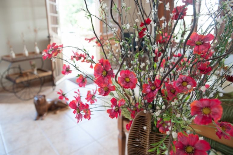 32a04468fdbb1d0af5f4e3f7f46e3e50 768x511